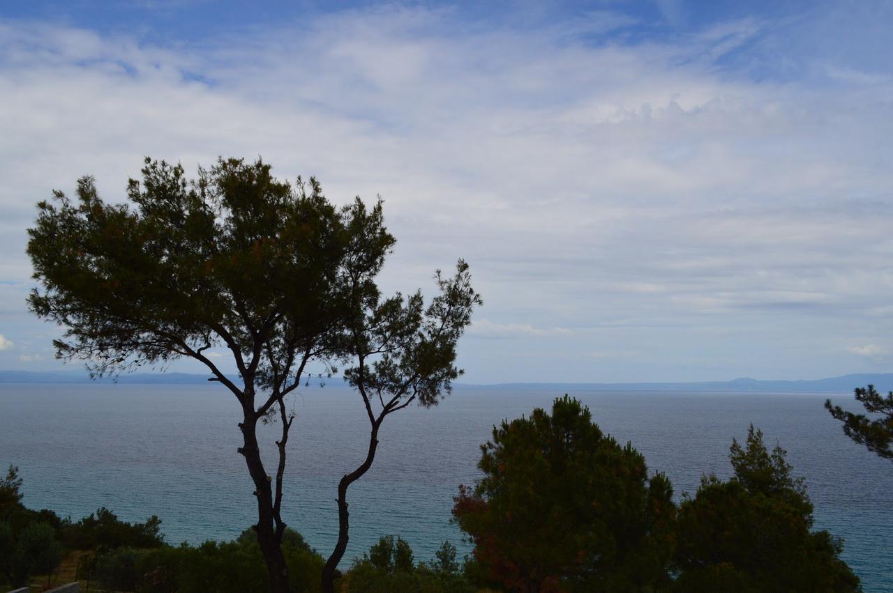 Aelia Sea View Studios Афитос Екстериор снимка